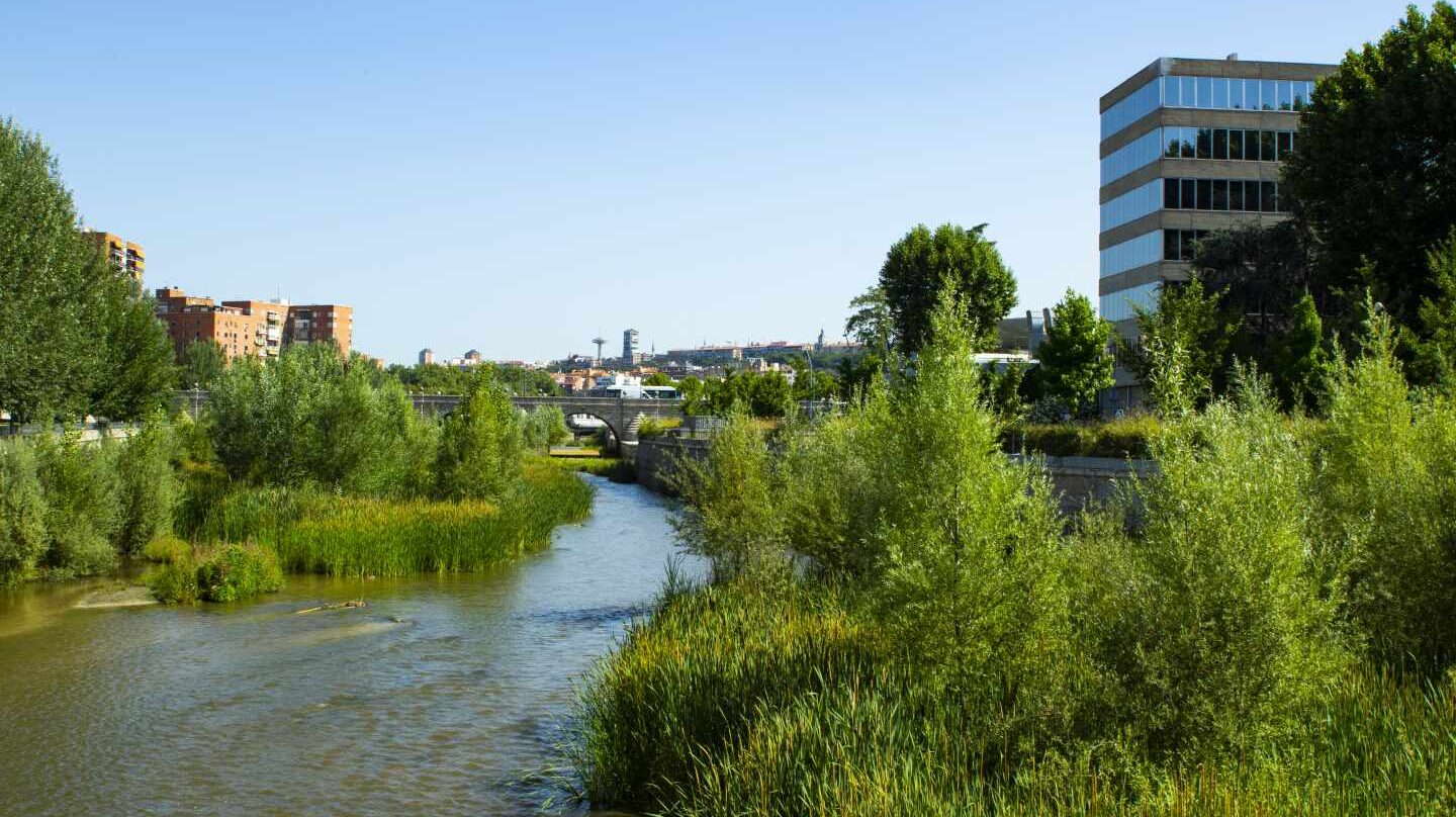 Un tramo del renaturalizado río Manzanares a su paso por Madrid