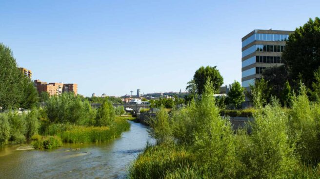 Un tramo del renaturalizado río Manzanares a su paso por Madrid