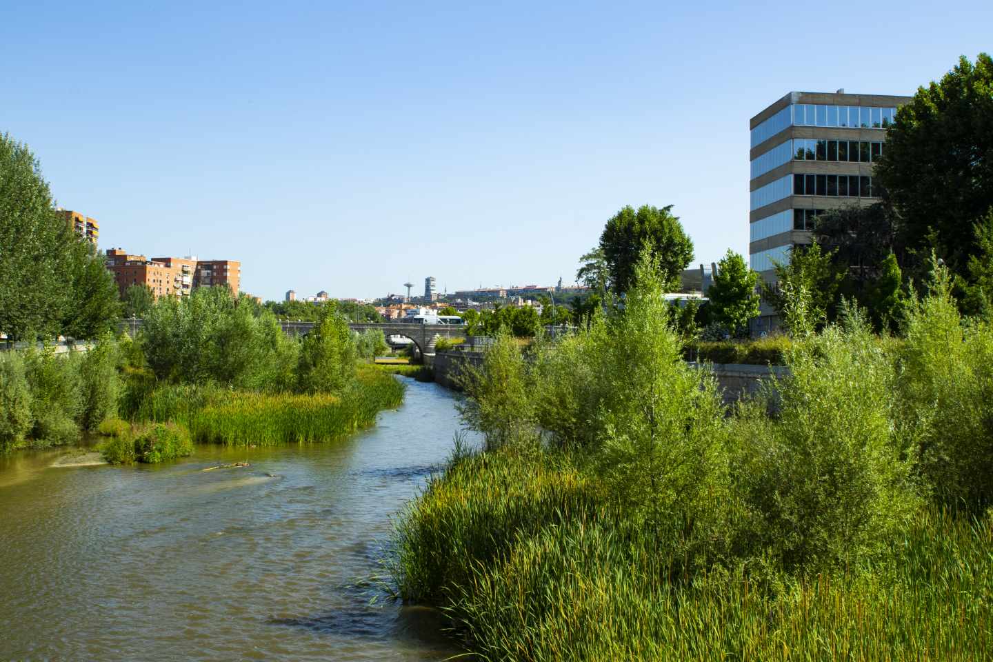 Un tramo del renaturalizado río Manzanares a su paso por Madrid