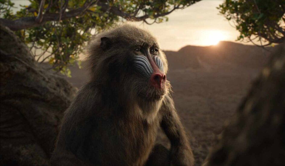 El rey león en CGI: Rafiki