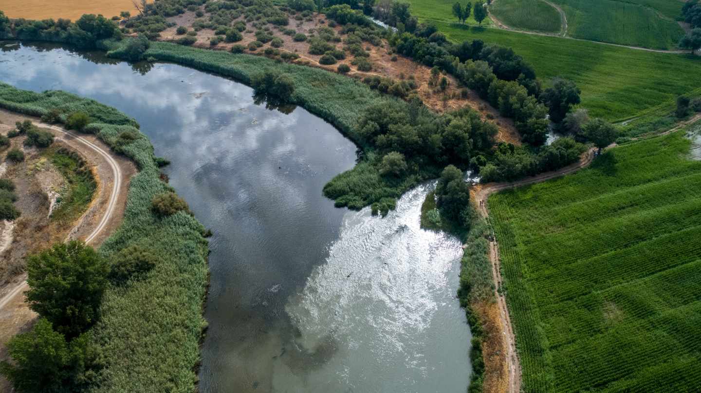 Río Jarama