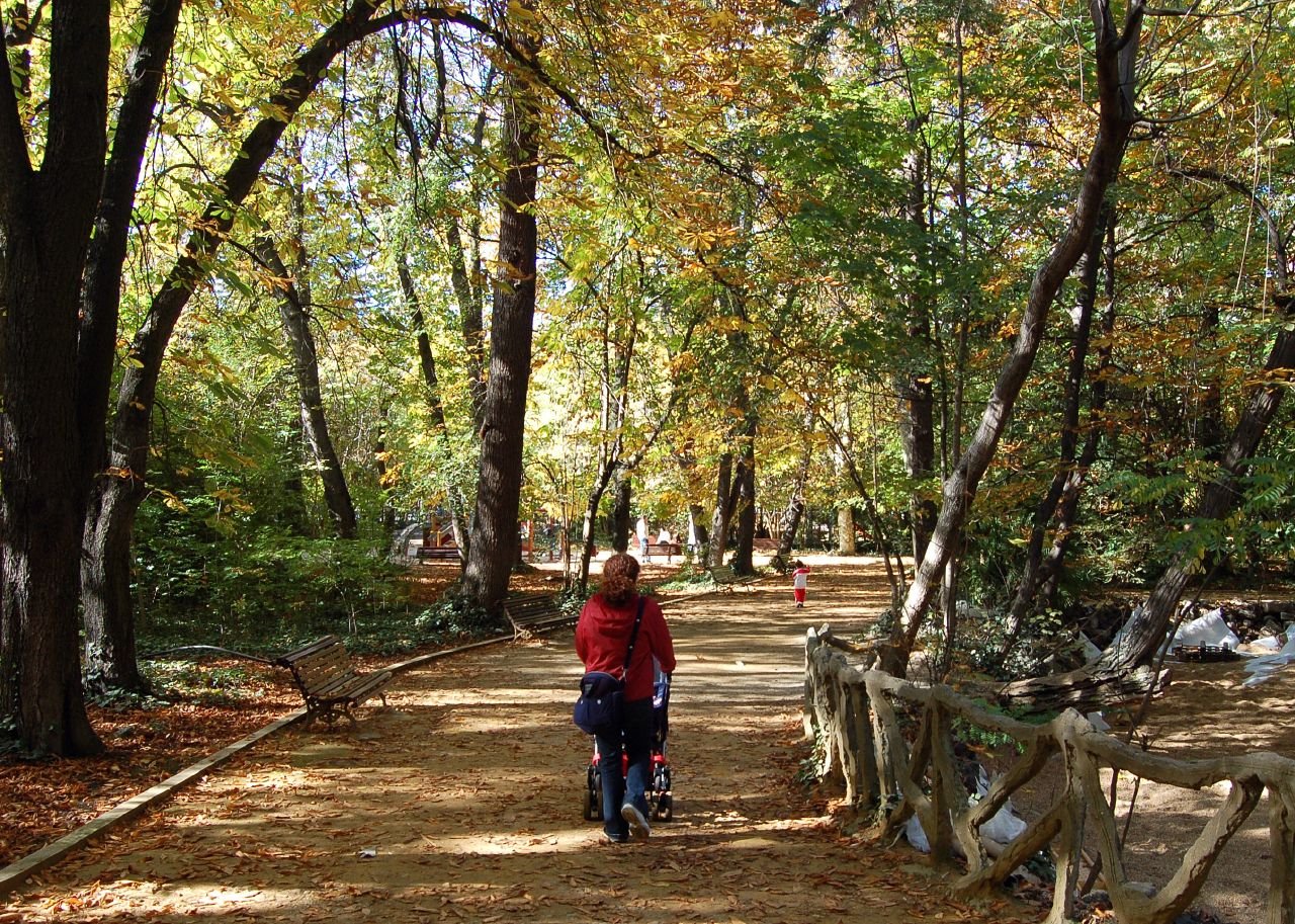 Valladolid - Parque del Campo Grande