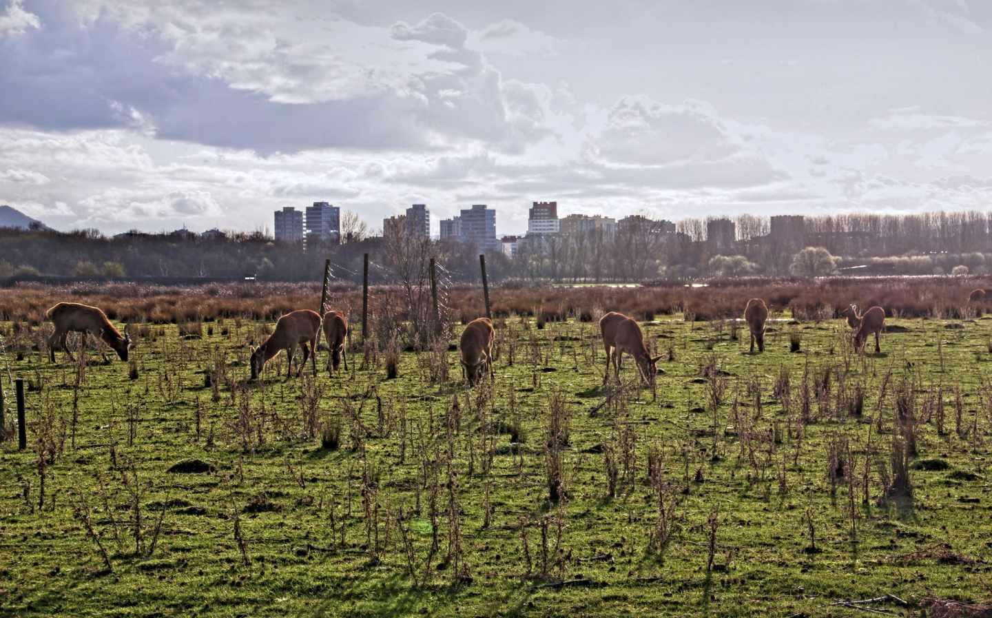 Vitoria - Parque de Salburua