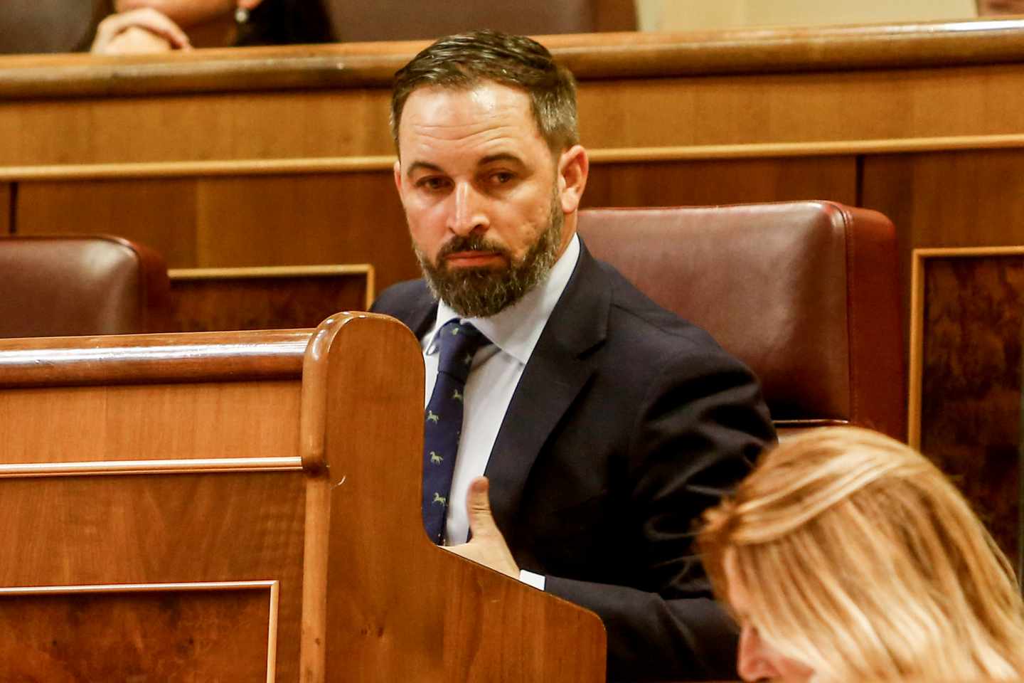 Santiago Abascal durante la sesión de investidura de Pedro Sánchez.