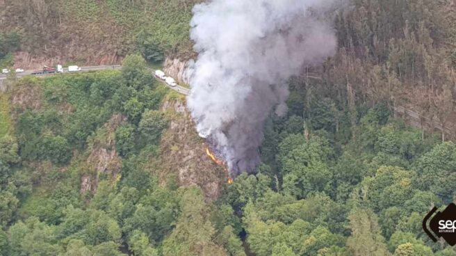 El camionero se salió de la carretera en la AS-35 y murió tras caer por un barranco de 25 metros.