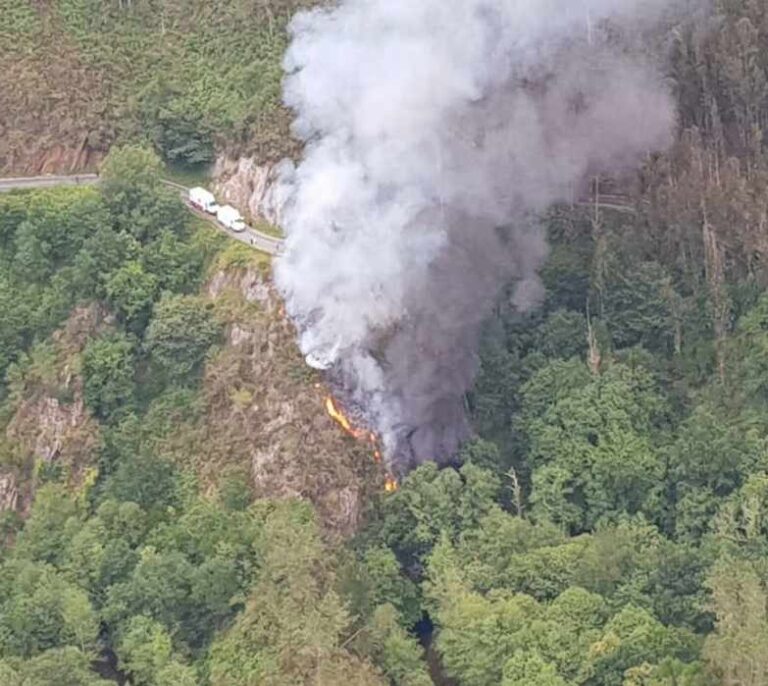 Muere un camionero tras caer por un barranco de 25 metros en Asturias