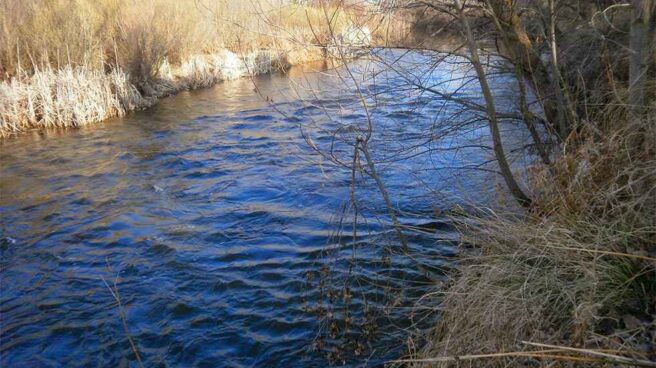 Río Duero al paso por Tardajos (Soria).