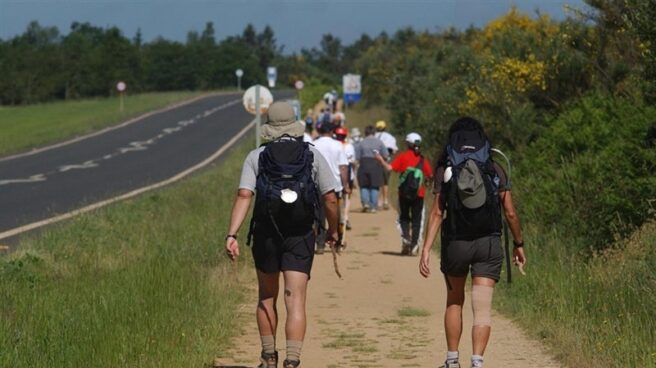 Camino de Santiago: desmantelado un grupo dedicado a hurtos y robos en albergues