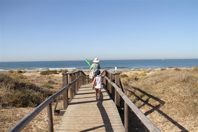 Los libros que guardamos para la playa