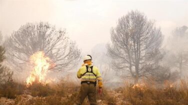 80 evacuados en el incendio de Beneixama (Alicante) que arrasa 830 hectáreas