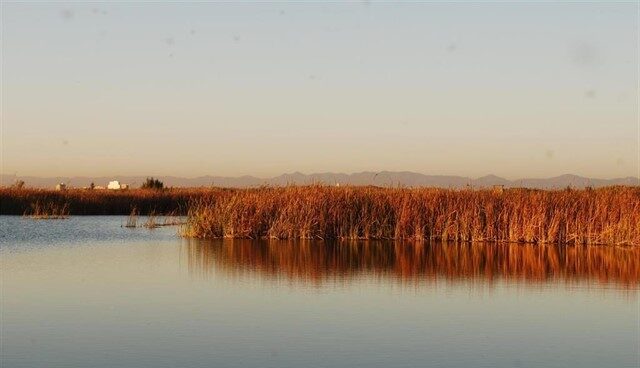 Lago de la Albufera