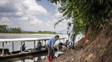 Encuentran en Perú restos del mono fósil más pequeño conocido
