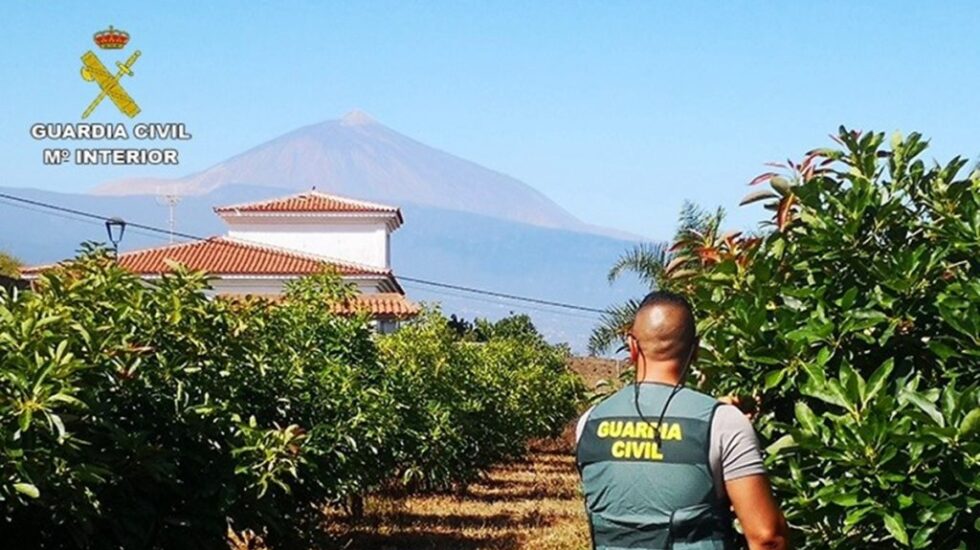 Guardia Civil