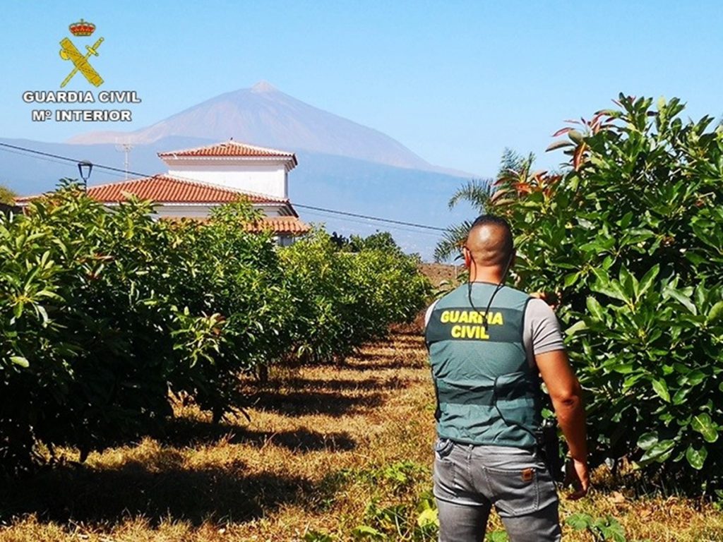 Guardia Civil