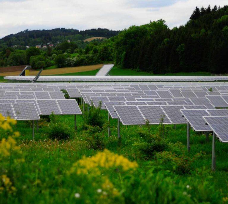 Plantas solares con nidos y casas de insectos: así quiere ser más verde la energía verde