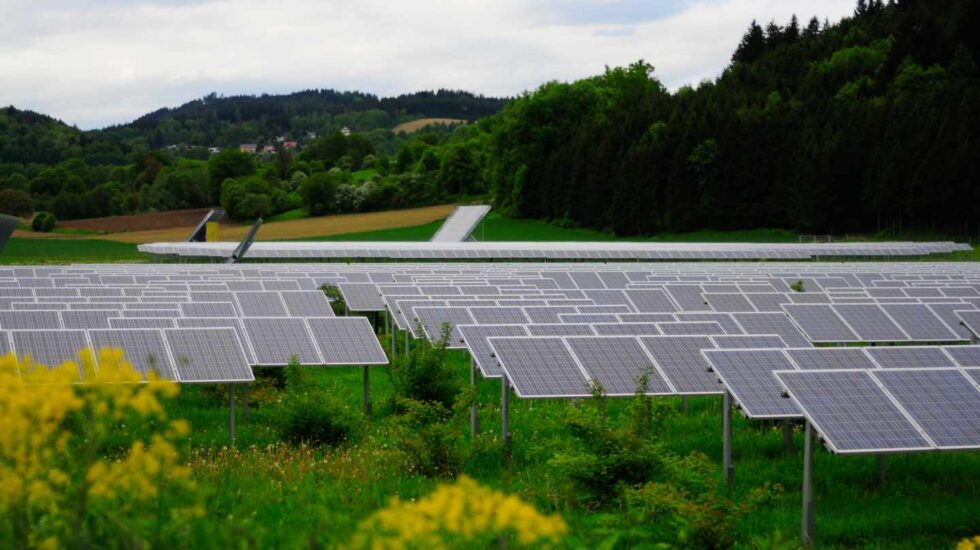 Una planta de energía solar fotovoltaica.