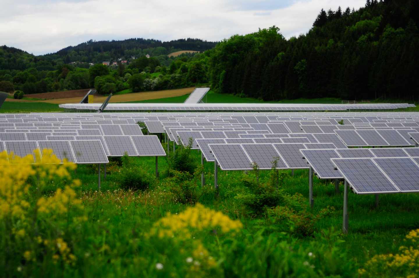 Una planta de energía solar fotovoltaica.