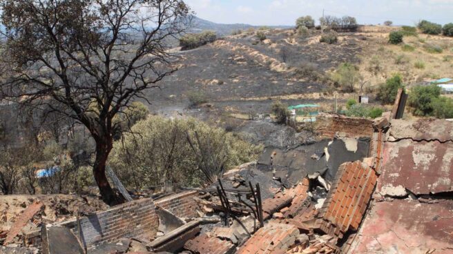 Zona afectada por el incendio que desde el pasado viernes afecta a la zona toledana de Almorox y a las localidades madrileñas de Cadalso de los Vidrios y Cenicientos.