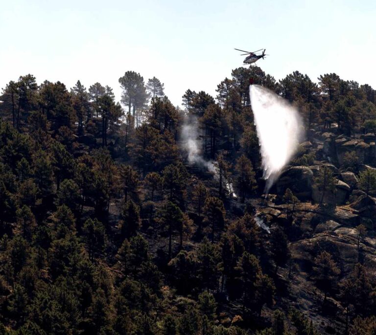 Un total de 8.302 incendios arrasa cerca de 57.700 hectáreas en lo que va de año