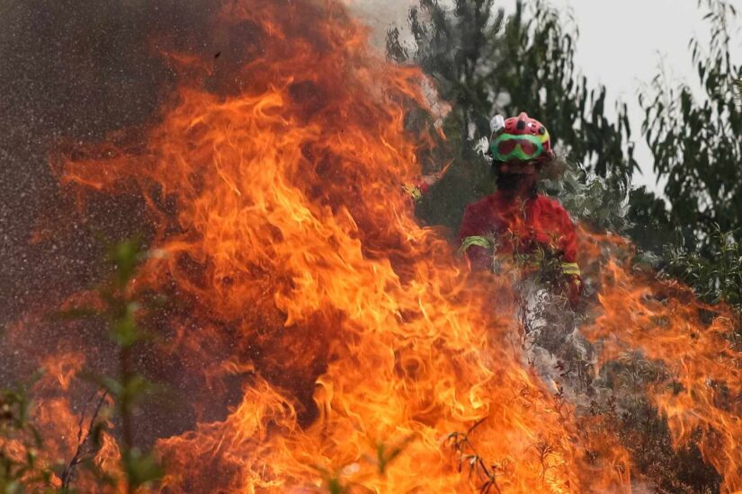 4. Un año marcado por los incendios