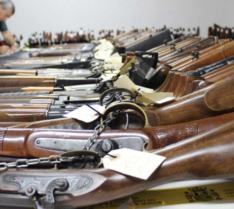 Policía Nacional y local y Guardia Civil han perdido o les han robado 240 armas desde 2008