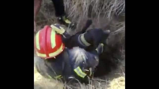 Bomberos rescatan a un perro que cayó a un pozo