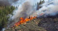 Prisión provisional para el presunto autor del incendio de Gran Canaria