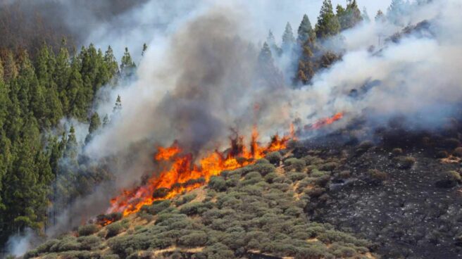 Vista del incendio declarado este sábado en la zona de Artenara en el oeste de la isla de Gran Canaria