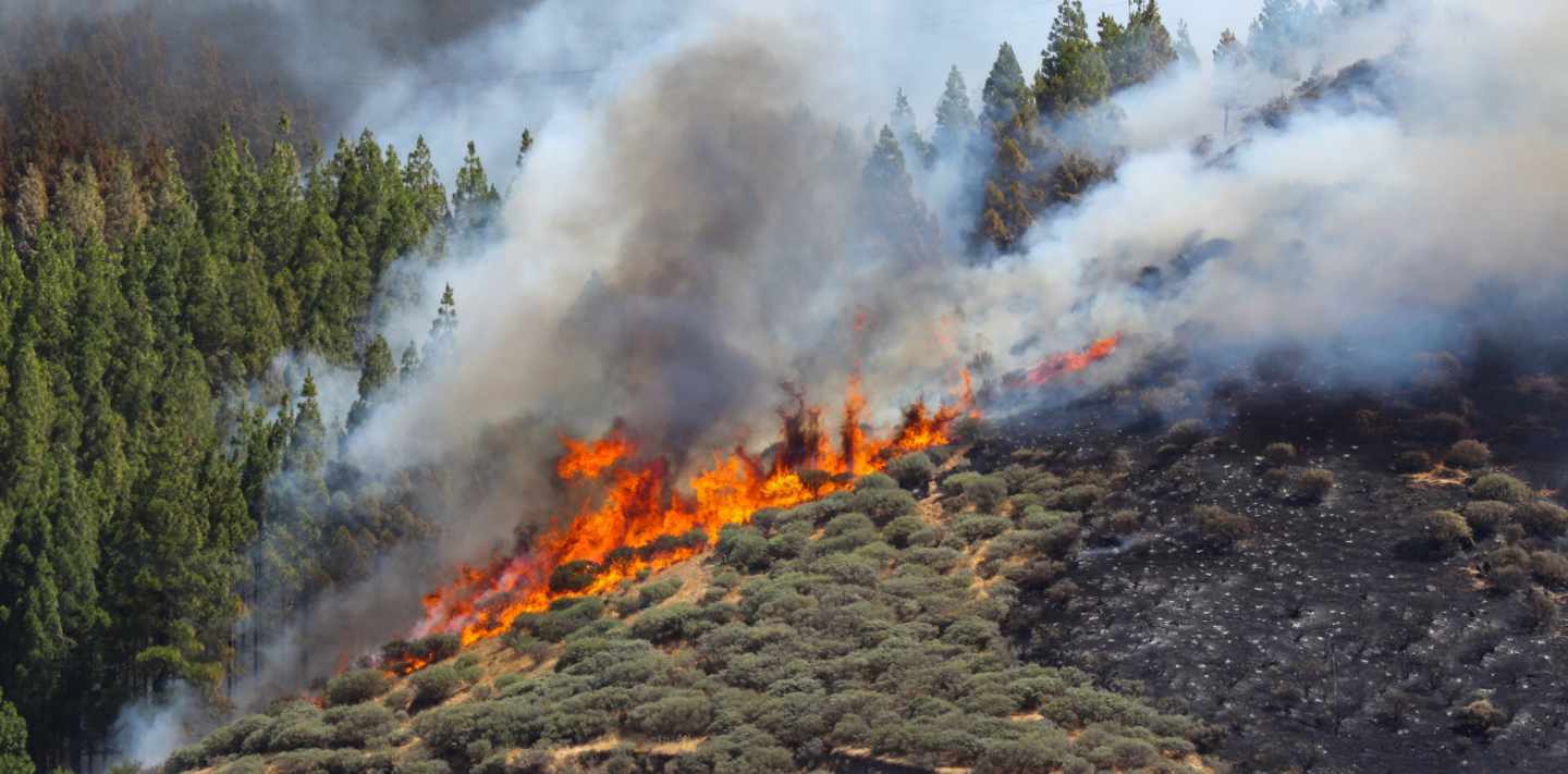 Vista del incendio declarado este sábado en la zona de Artenara en el oeste de la isla de Gran Canaria