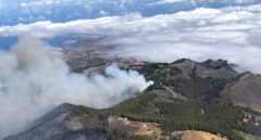Logran contener el incendio de Gran Canaria pero se temen complicaciones por el viento
