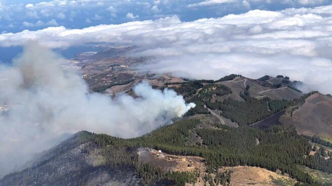 Logran contener el incendio de Gran Canaria pero se temen complicaciones por el viento