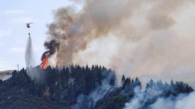 Incendio forestal en Valleseco, en la isla de Gran Canaria.