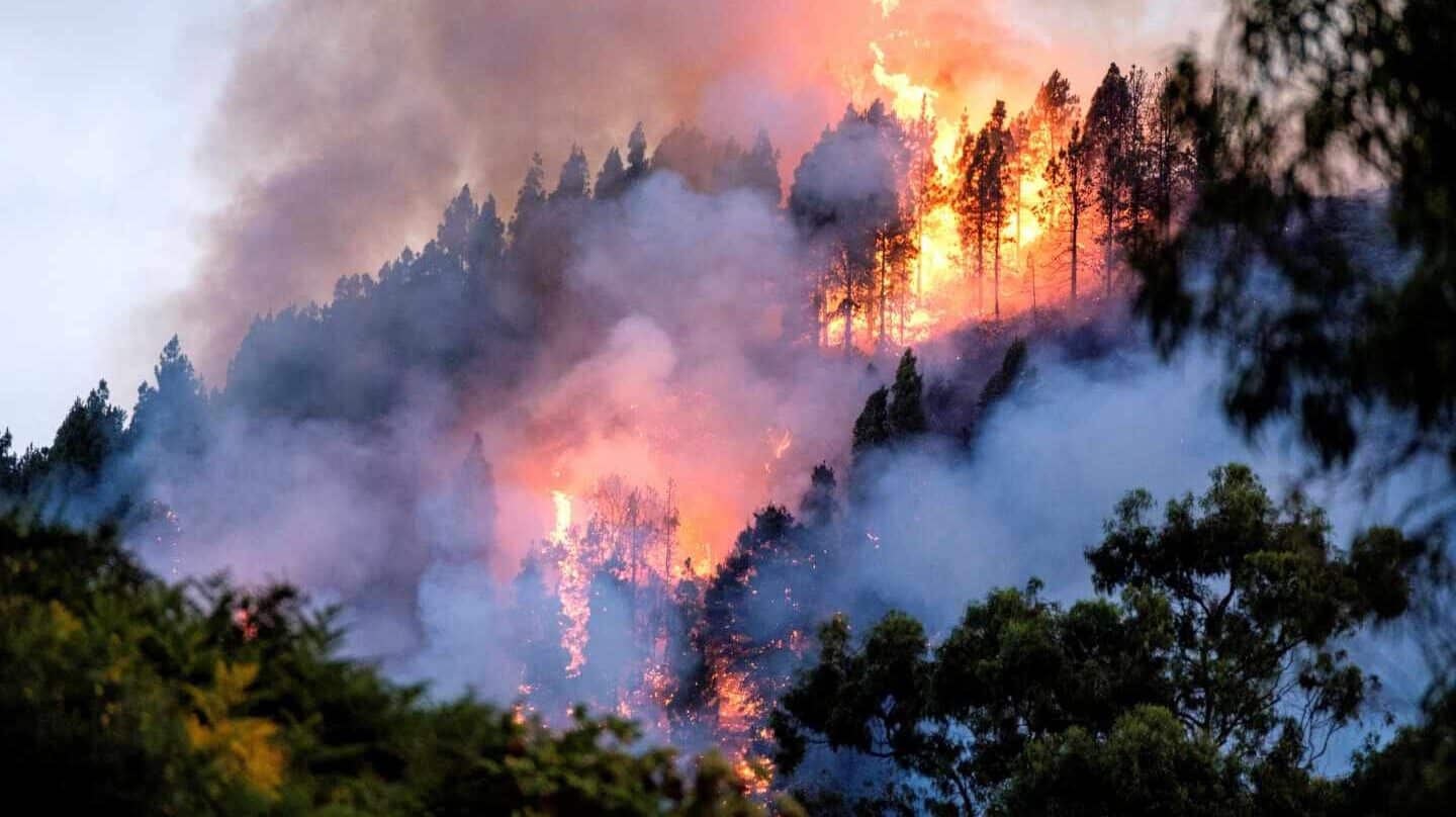 Un dispositivo de emergencia trabaja en la extinción de un incendio en el municipio de grancanario de Valleseco, el tercero importante que se ha declarado en la isla en los últimos ocho días y cuando aún los otros dos no se han dado por extinguidos. A primeras horas de esta tarde comenzó el fuego en el barranco de Los Pajaritos, entre Cueva Corcho y Crespo. La isla de Gran Canaria está en alerta naranja por temperaturas de hasta 37 grados.