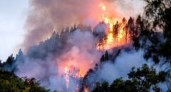 El fuego avanza sin control en Gran Canaria: los incendios ya han arrasado 1.700 hectáreas