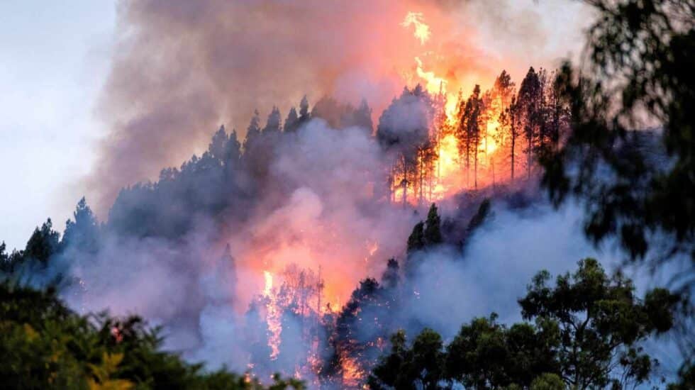 Un dispositivo de emergencia trabaja en la extinción de un incendio en el municipio de grancanario de Valleseco, el tercero importante que se ha declarado en la isla en los últimos ocho días y cuando aún los otros dos no se han dado por extinguidos. A primeras horas de esta tarde comenzó el fuego en el barranco de Los Pajaritos, entre Cueva Corcho y Crespo. La isla de Gran Canaria está en alerta naranja por temperaturas de hasta 37 grados.