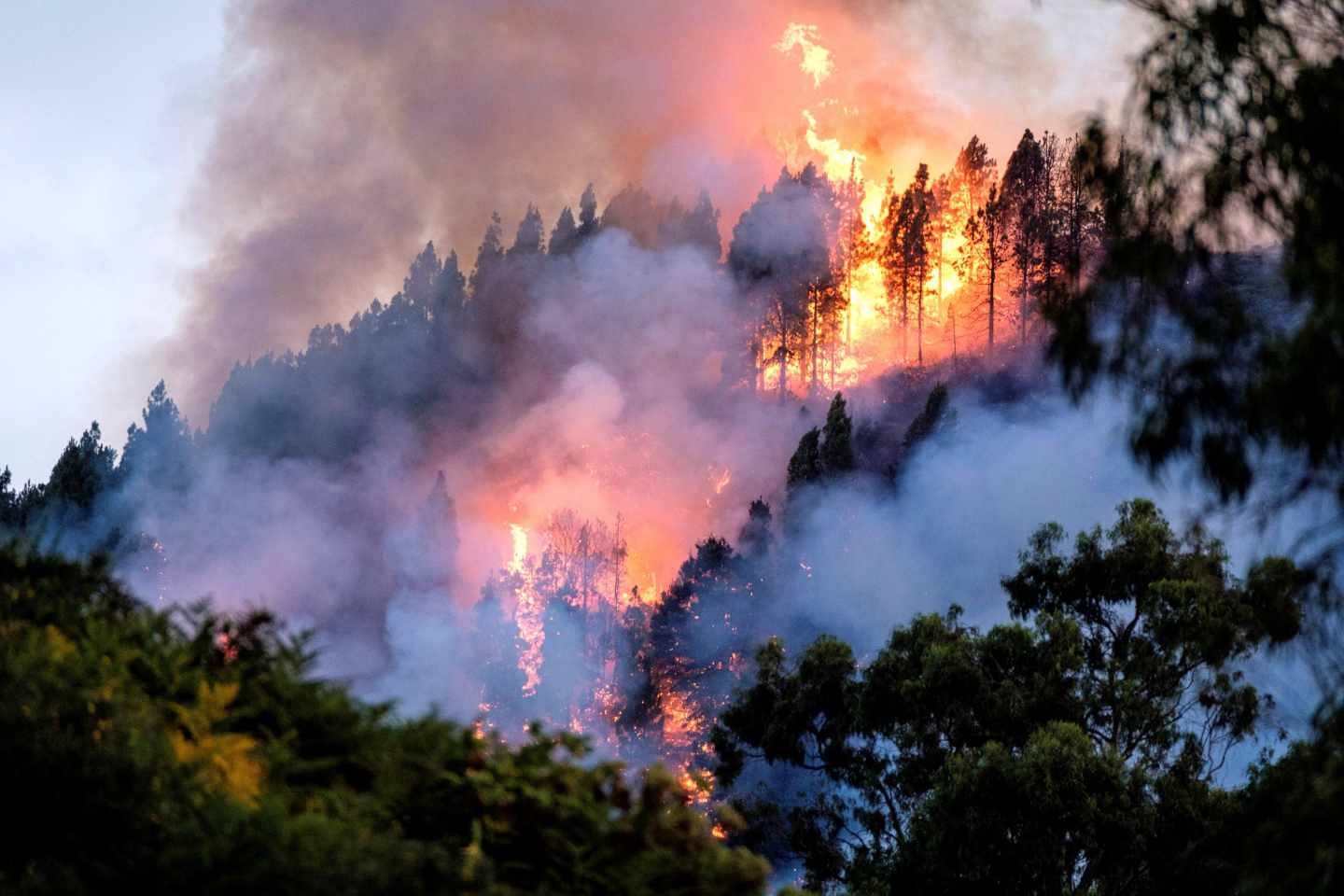 Un dispositivo de emergencia trabaja en la extinción de un incendio en el municipio de grancanario de Valleseco, el tercero importante que se ha declarado en la isla en los últimos ocho días y cuando aún los otros dos no se han dado por extinguidos. A primeras horas de esta tarde comenzó el fuego en el barranco de Los Pajaritos, entre Cueva Corcho y Crespo. La isla de Gran Canaria está en alerta naranja por temperaturas de hasta 37 grados.