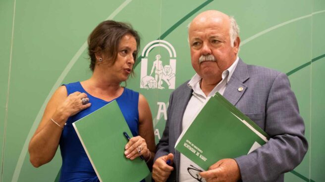 El consejero de Salud y Familias de la Junta de Andalucía, Jesús Aguirre(d) y la viceconsejera de su departamento, Catalina García Carrasco