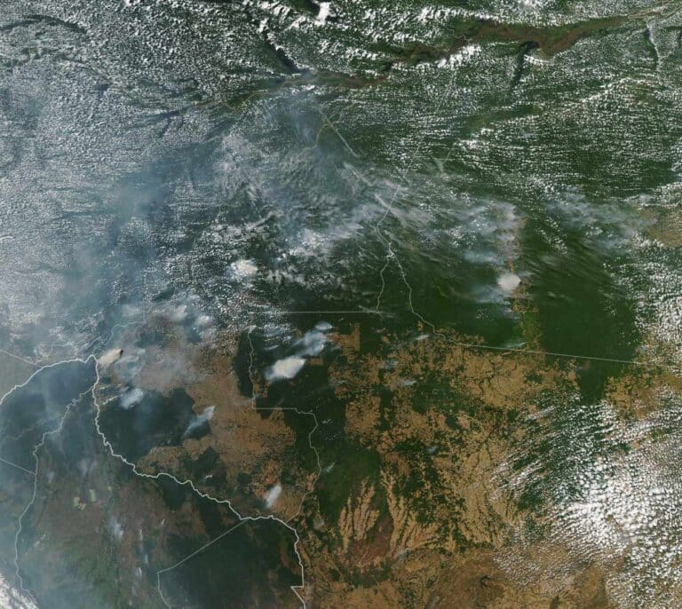 Todo lo que debes saber sobre el desastre natural del Amazonas