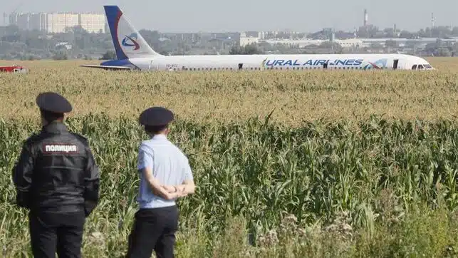 Un avión ruso aterriza de panza en un campo de maíz tras chocar con una bandada de pájaros