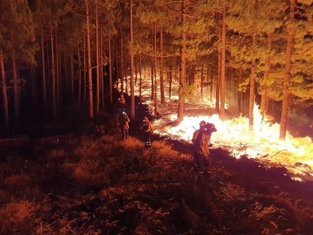 Bomberos trabajan en la extinción del incendio de Gran Canaria