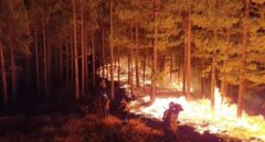 El incendio de Gran Canaria quedará estabilizado este miércoles tras arrasar más de 12.000 hectáreas