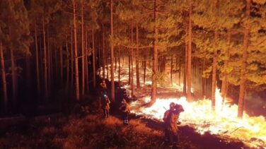 El incendio de Gran Canaria quedará estabilizado este miércoles tras arrasar más de 12.000 hectáreas