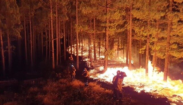 Bomberos trabajan en la extinción del incendio de Gran Canaria