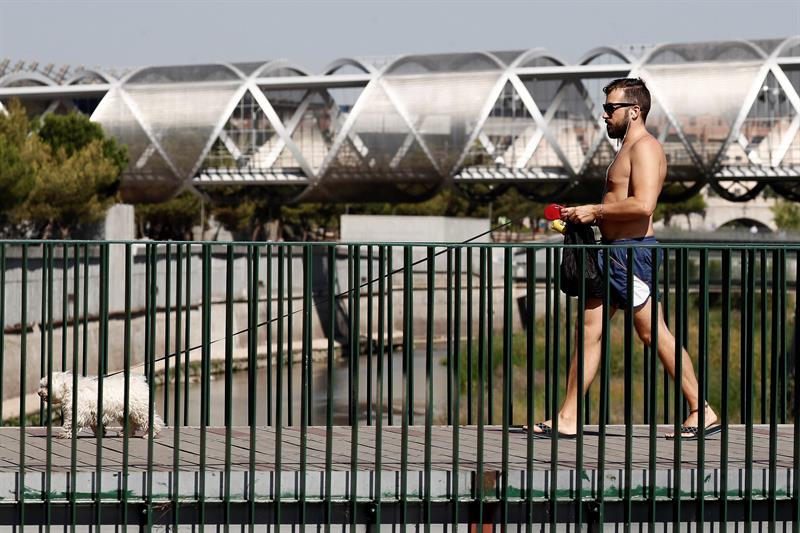 Más calor: alerta en 14 provincias a partir del lunes por las altas temperaturas