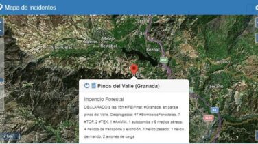 Declarado un incendio en la localidad granadina de El Pinar