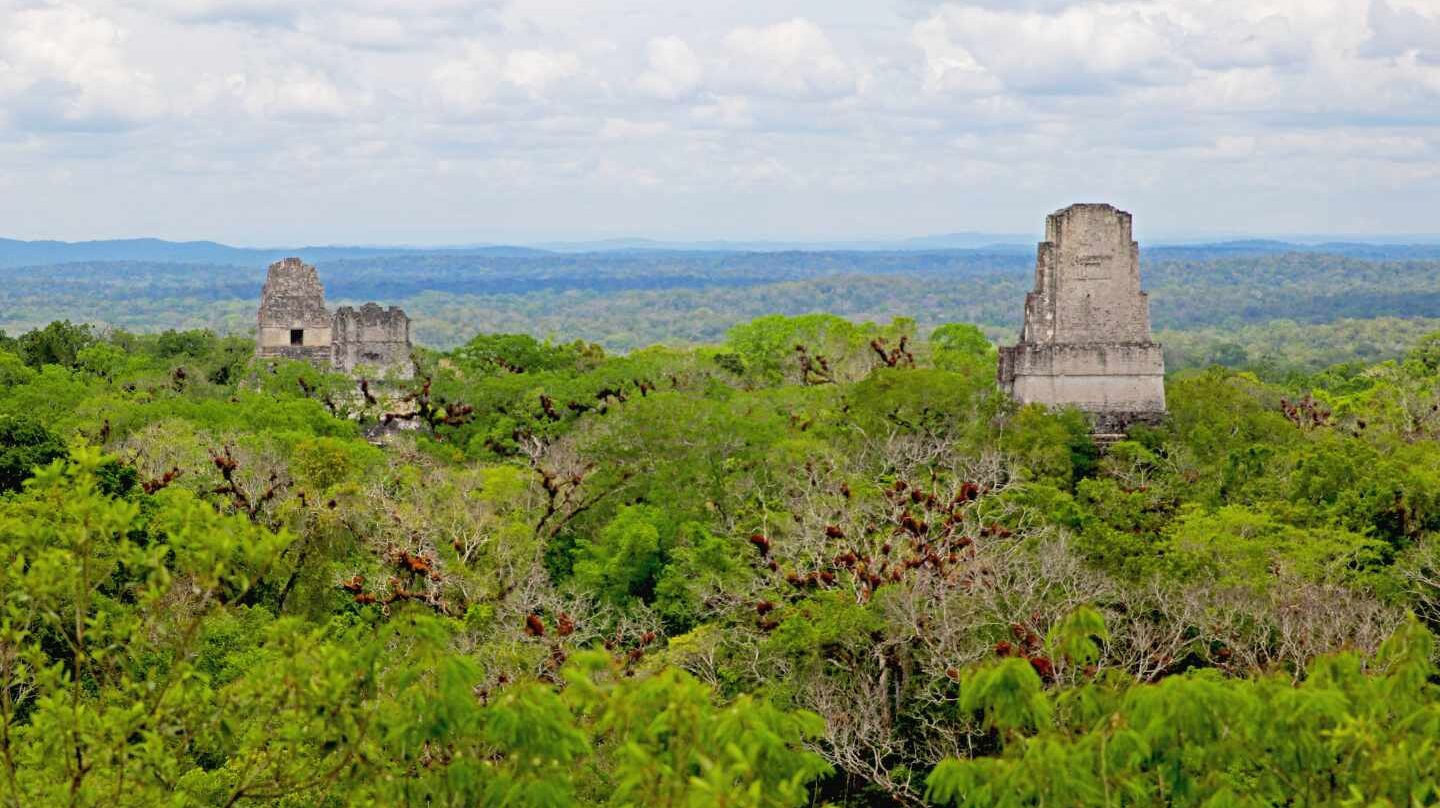 Parque Nacional de Tikal en la selva de Petén