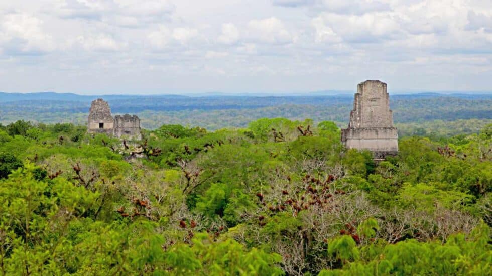Parque Nacional de Tikal en la selva de Petén