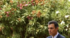 Pedro Sánchez viajará mañana a Gran Canaria para seguir la evolución del fuego