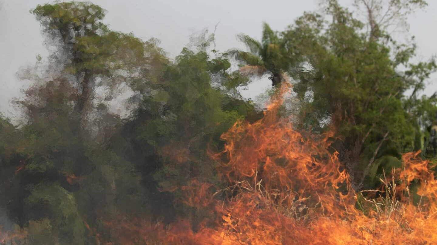 Incendios en el Amazonas.