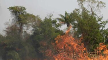 Bolsonaro desliza que rechazará la ayuda del G-7 para el Amazonas y llama colonialista a Macron